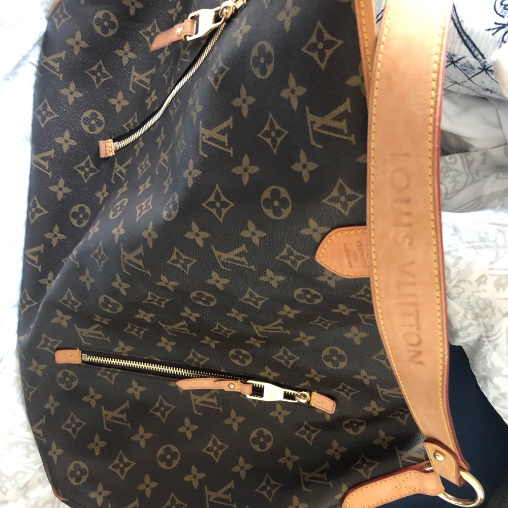 Louis Vuitton Delightful Pm Monogram Used